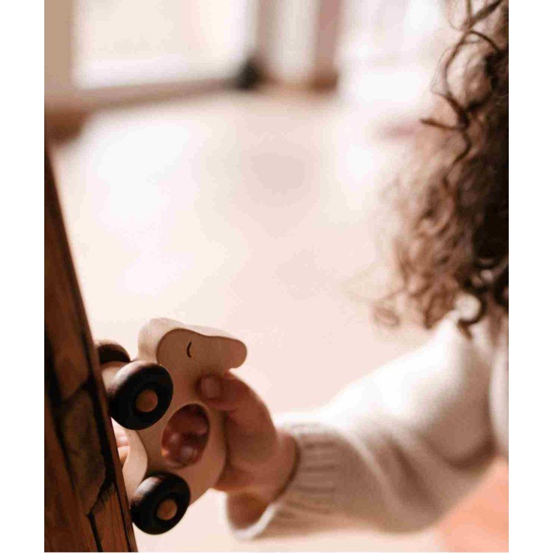 mergaite zaidzia su kiskiu ant ratuku